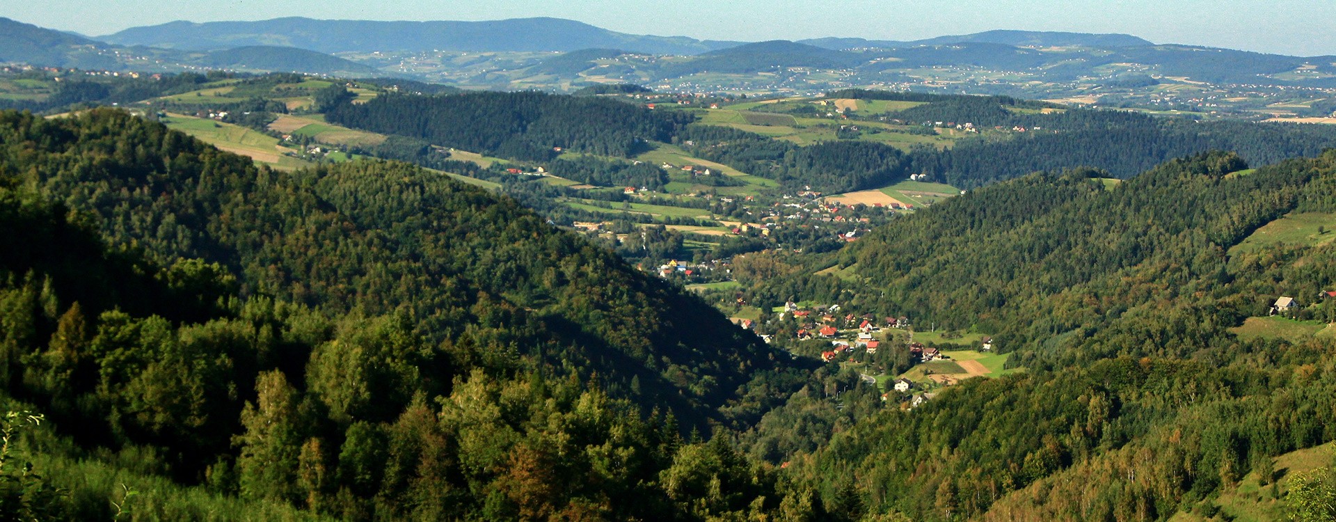 Kompleks domków w okolicy Szczawnicy